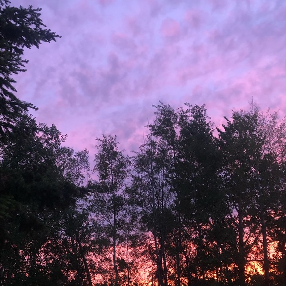 Meet your Posher, Emily - Picture 1 of 1